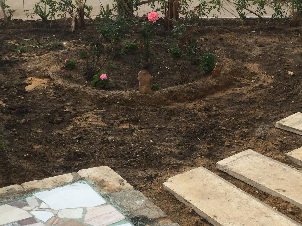 קהיר Pyramids Loft Guesthouse מראה חיצוני תמונה